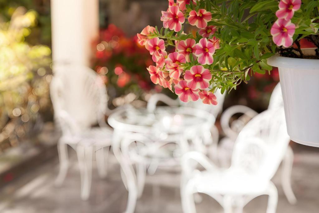 Hoa Sen Vang Hotel Dalat Zewnętrze zdjęcie
