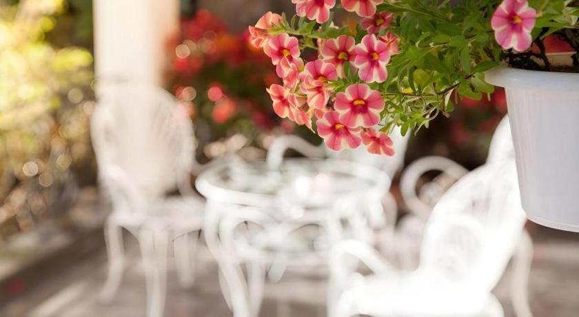 Hoa Sen Vang Hotel Dalat Zewnętrze zdjęcie